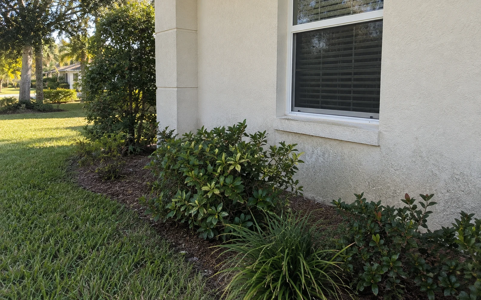Ground-level washing of a pale residential house exterior beside protected landscaping