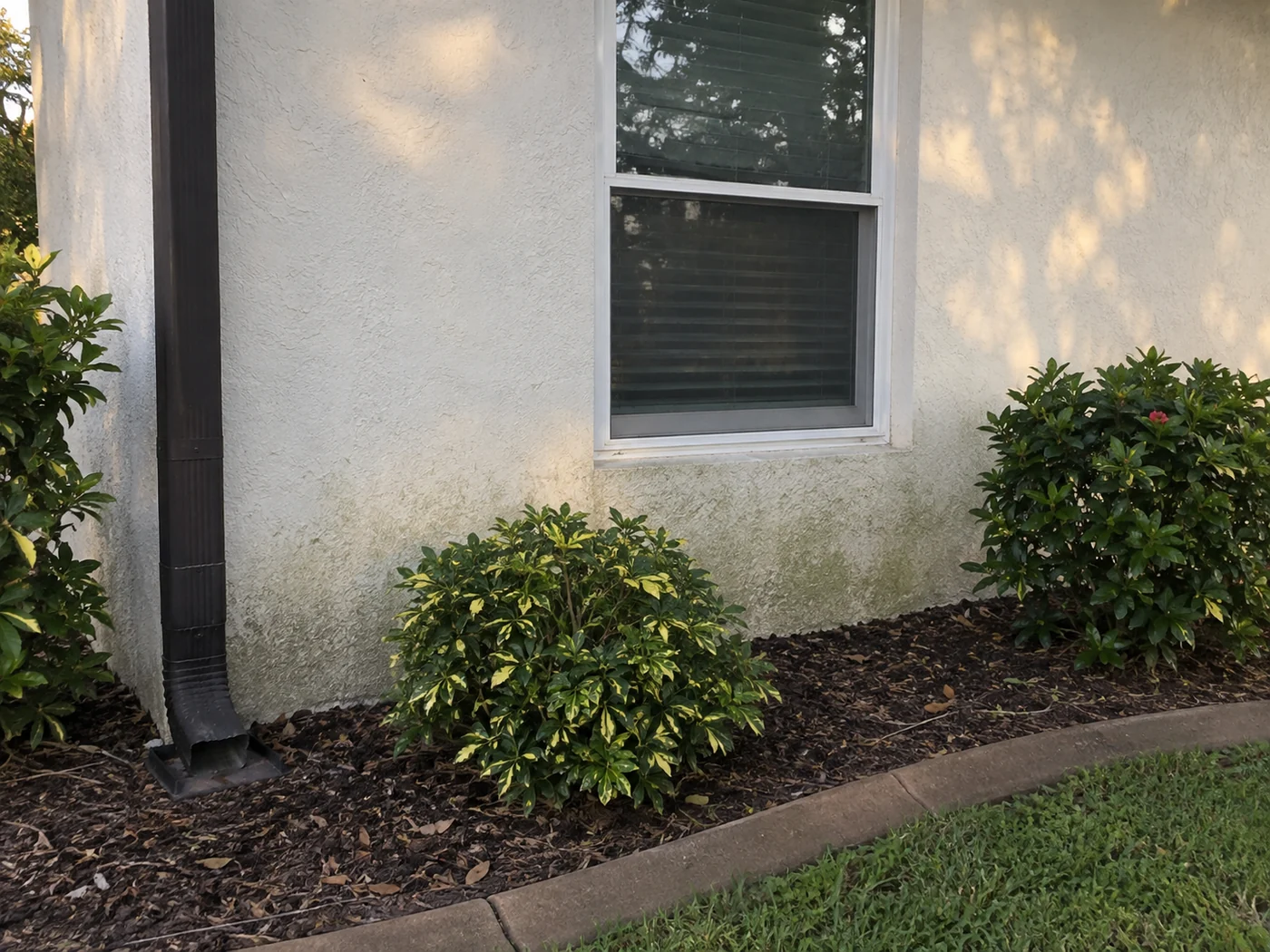 Pale stucco house wall with ordinary exterior buildup before washing